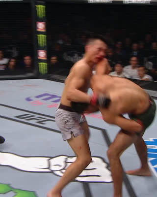 Лучшие финиши участников UFC Лонг-Айленд