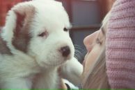 Фотография Авдеенко Алёны