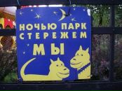 Фотография Прокопени Елены