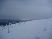 Міша Петришин фотография #27 (источник - https://vk.com/id19066967)