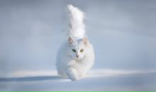 Фотография Даниличева Дмитрия