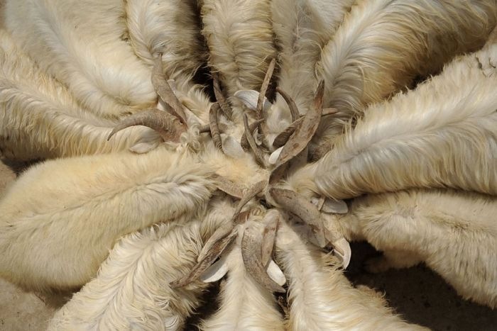 Фарид Гайсин фотография #27