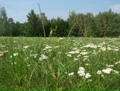 Віталій Карпенко фотография #18 (источник - https://vk.com/id86719783)