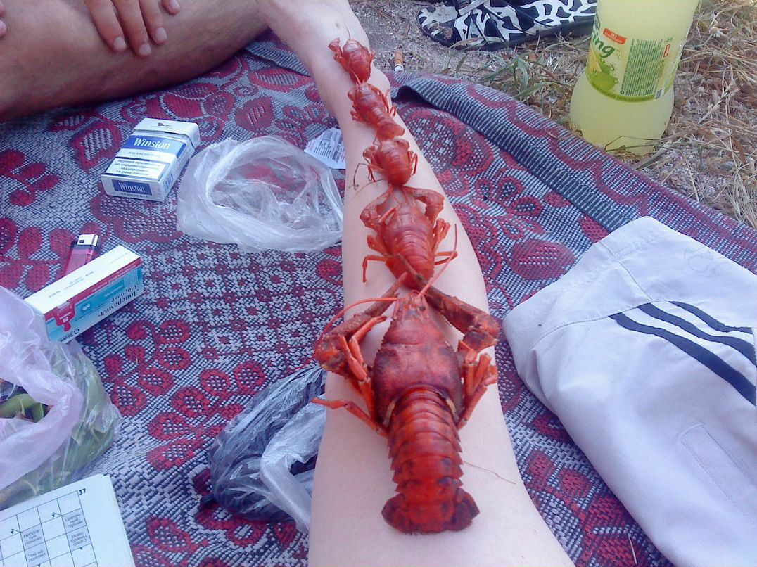 Серега Мальцев фотография #18