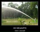 Фотография Михайловского Алексея