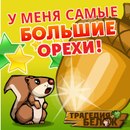 Фотография Анастасия Пинигина