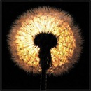 Ольга Сова фотография #28 (источник - https://vk.com/id44906448)