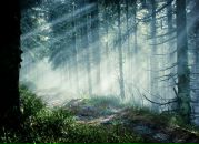 Фотография Исаева Алексея