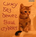 Андріана Шафраєва фотография #14 (источник - https://vk.com/id138501428)