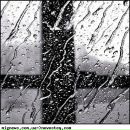 Фотография Медянцева Александра