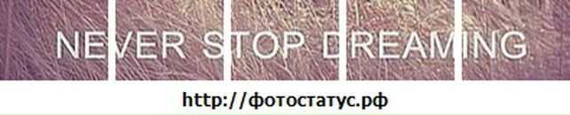 Андрій Галущак фотография #14 (источник - https://vk.com/id44659905)