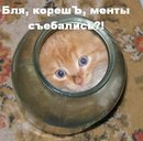 Матвій Захаревич фотография #16 (источник - https://vk.com/id142131353)
