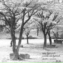 Εгор Κудряшов фотография #1