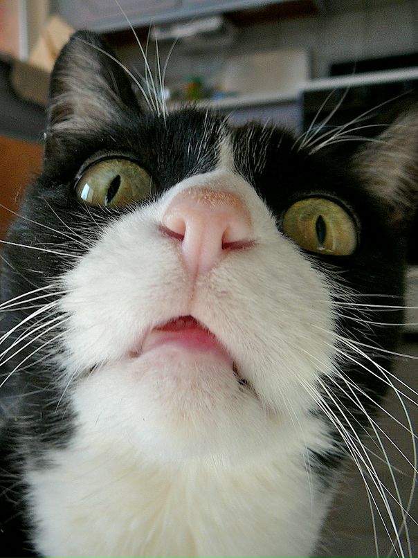 Игорь Романов фотография #13