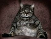 Фотография Климова Аркадия