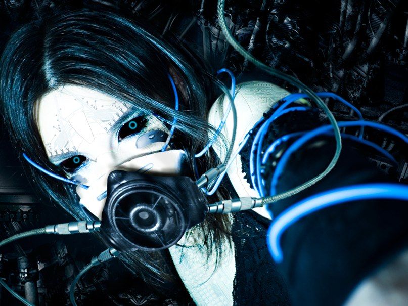 Кот Бегемот фотография #25