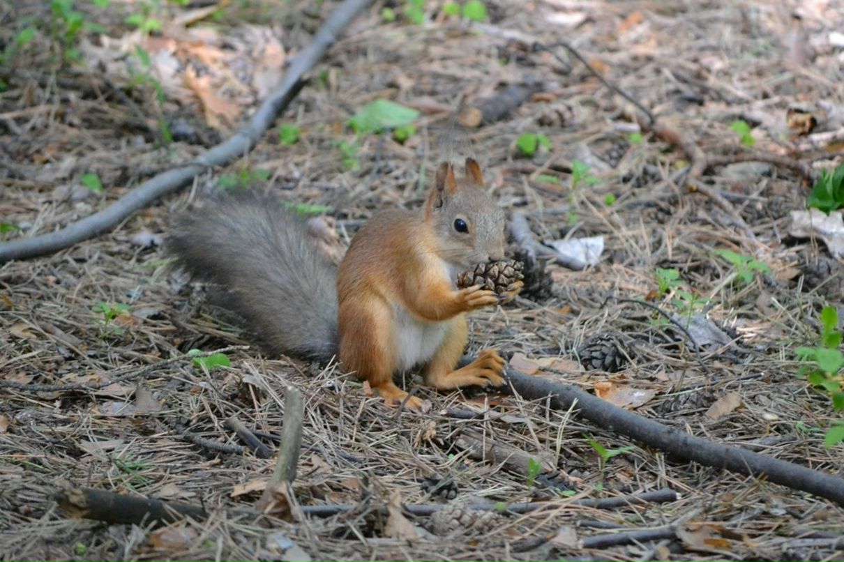 Константин Басалаев фотография #50