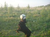 Фотография Ельшина Юрия