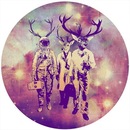 Фотография Киреева Александра