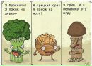Тёма Самойлов фотография #10 (источник - https://vk.com/id32484519)