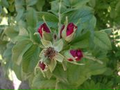 Андрей Прокопенко фотография #35 (источник - https://vk.com/id3533194)