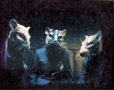 Евгений Евгеньевич фотография #28 (источник - https://vk.com/id326844)