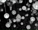 Фотография Желонкиной Виктории