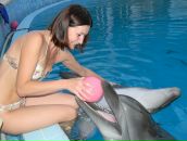 Фотография Ярошенко Дарьи