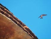 Фотография Жирихиной Татьяны