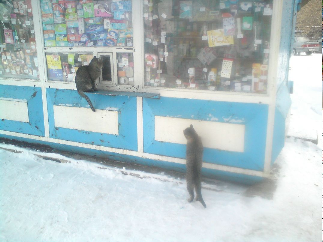 Сергей Табунов фотография #20