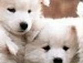 Сірожа Руденко фотография #28 (источник - https://vk.com/id103209136)