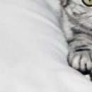 Наталія Олійник фотография #10 (источник - https://vk.com/id85387598)