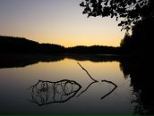 Фотография Тарновской Юлии