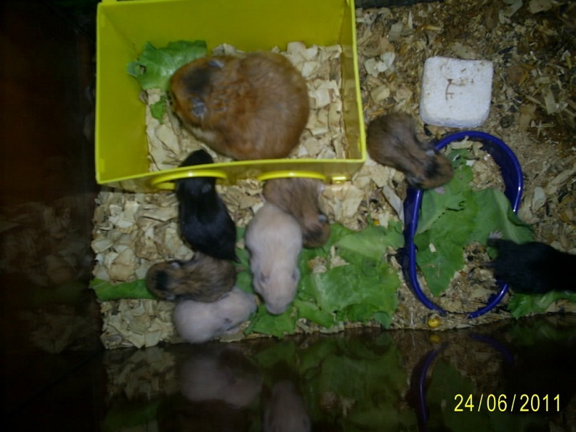 Саня Целенко фотография #47