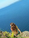 Фотография Киллер Катиты