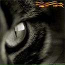 Фотография Тимофеевой Екатерины