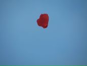 Фотография Кузнецовой Ольги