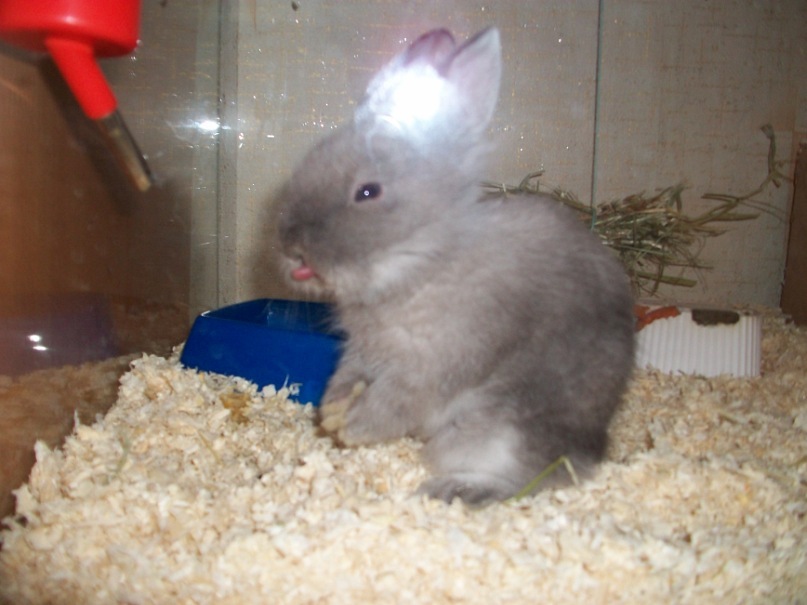 Елена Абрамова фотография #28