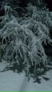 Дмитрий Лавриненко фотография #25 (источник - https://vk.com/id21868023)
