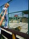 Ілонка ***** фотография #48 (источник - https://vk.com/id138632718)