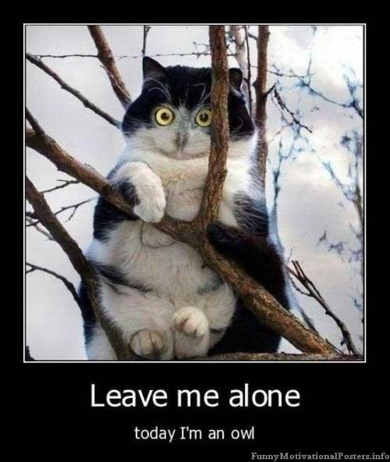 Anna Linnik фотография #49