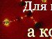 Інна Слободян фотография #6 (источник - https://vk.com/id75862642)