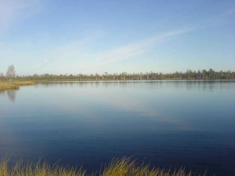 Александр Галкин фотография #20