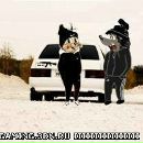 Влад Мокійчук фотография #27 (источник - https://vk.com/id159275316)