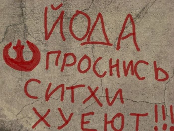 Дмитрий Поляков фотография #33