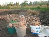 Таніта Максимчук фотография #48 (источник - https://vk.com/id64326821)