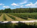 Робота Фінляндії фотография #45 (источник - https://vk.com/id163147454)