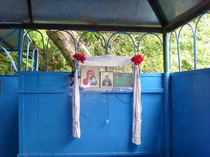 Дима Путренков фотография #12