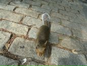 Сергій Рогач фотография #47 (источник - https://vk.com/id18331897)