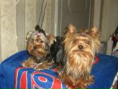 Фотография Петровой Светланы